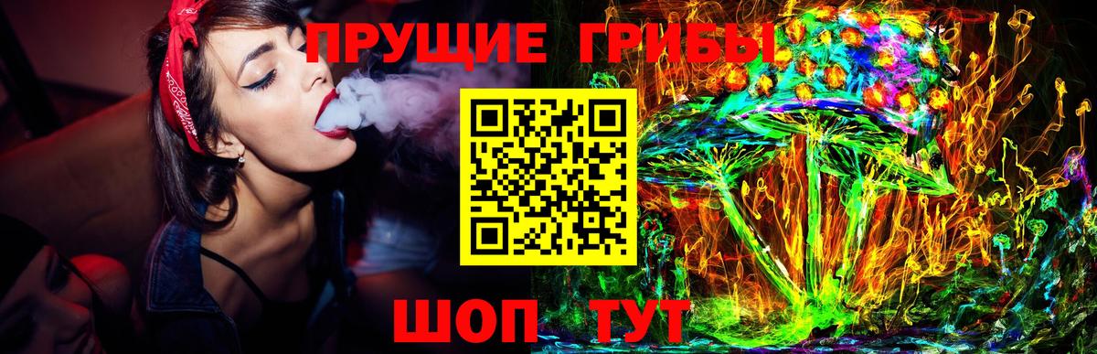 Саки  Галлюциногенные грибы Cubensis  сколько стоит  Вход с VPN 
